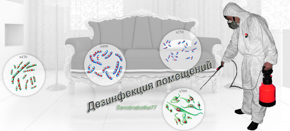 <span style="font-weight: bold;">СЭС МОСКВА: Дезинфекция Квартиры</span>